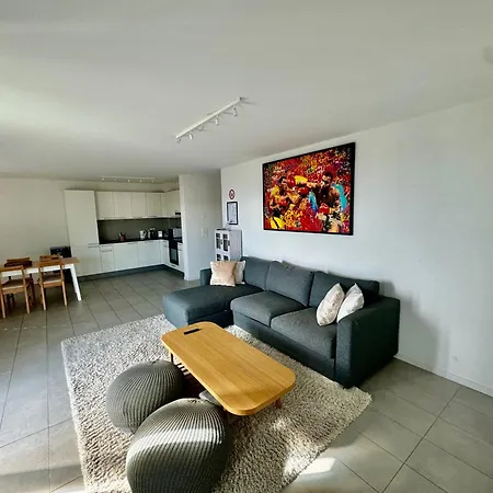 Great In Apartment Lausanne